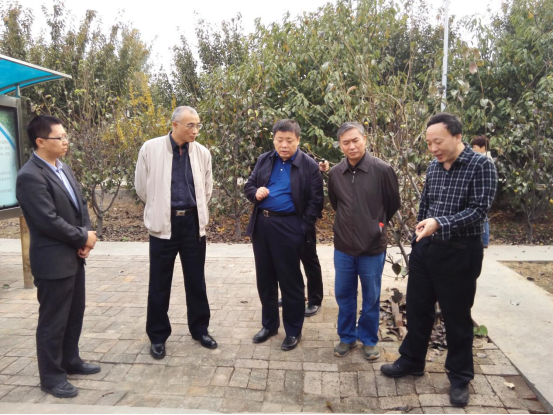 尊龙凯时人生就是搏(中国区)官方网站