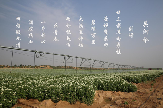 尊龙凯时人生就是搏(中国区)官方网站
