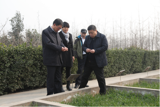 尊龙凯时人生就是搏(中国区)官方网站