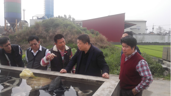尊龙凯时人生就是搏(中国区)官方网站