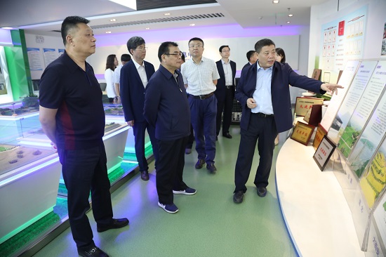 尊龙凯时人生就是搏(中国区)官方网站