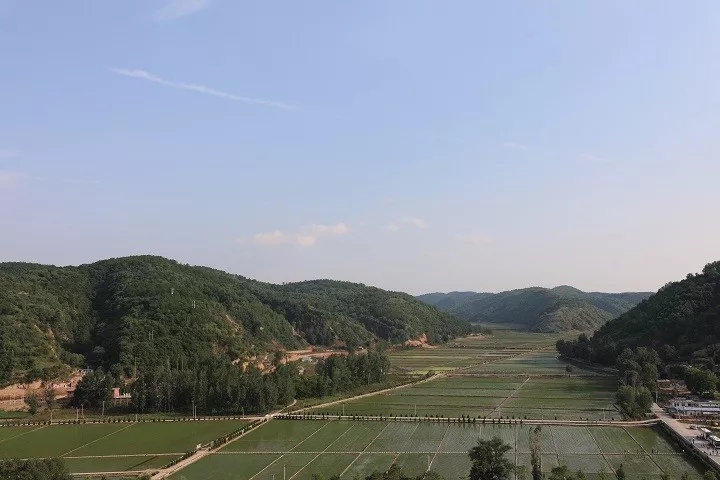 尊龙凯时人生就是搏(中国区)官方网站
