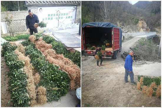 尊龙凯时人生就是搏(中国区)官方网站