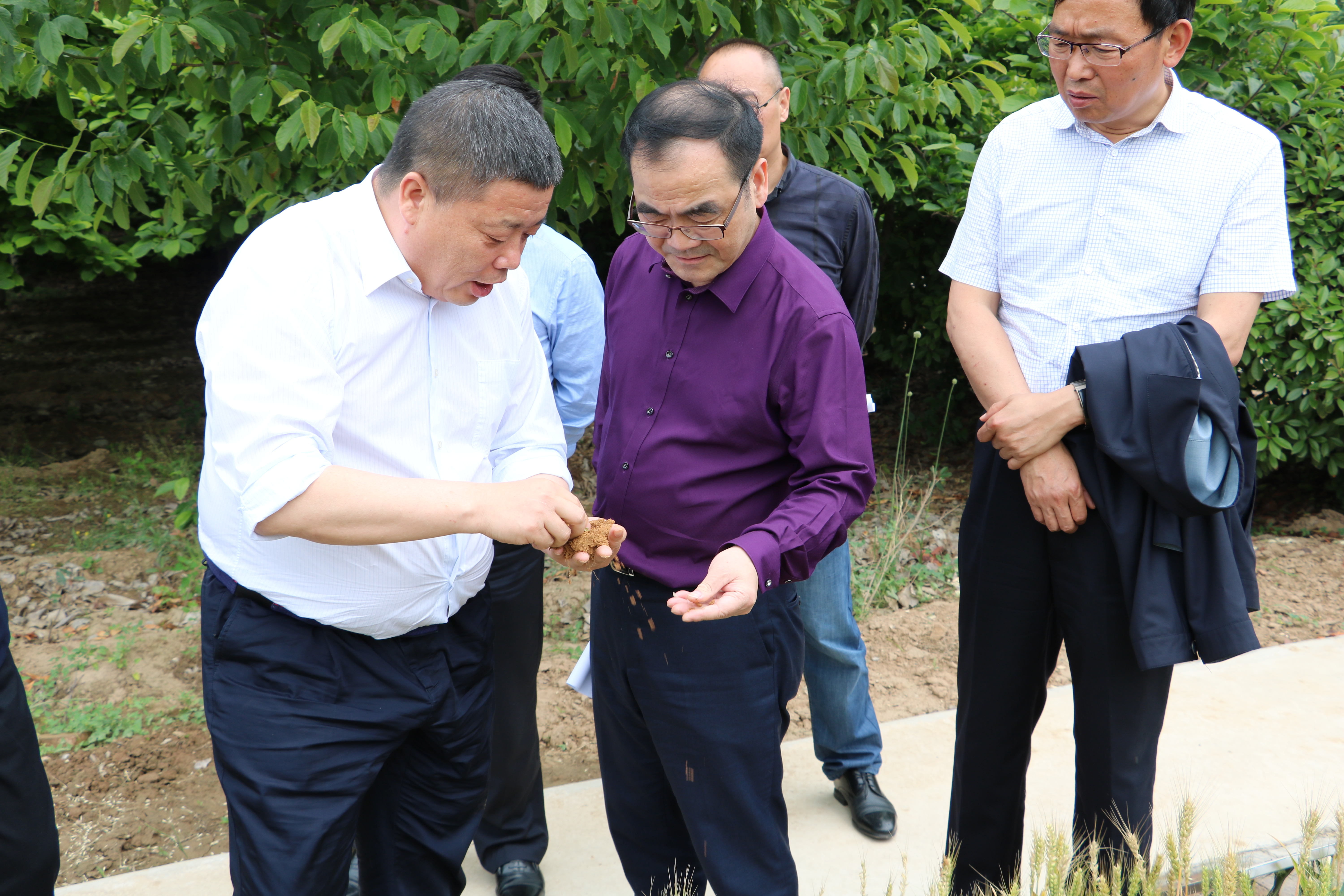 尊龙凯时人生就是搏(中国区)官方网站