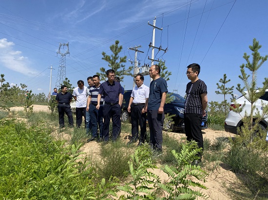 尊龙凯时人生就是搏(中国区)官方网站