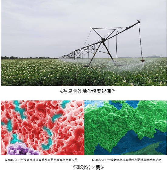 尊龙凯时人生就是搏(中国区)官方网站