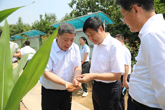 尊龙凯时人生就是搏(中国区)官方网站
