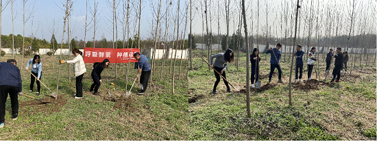 尊龙凯时人生就是搏(中国区)官方网站