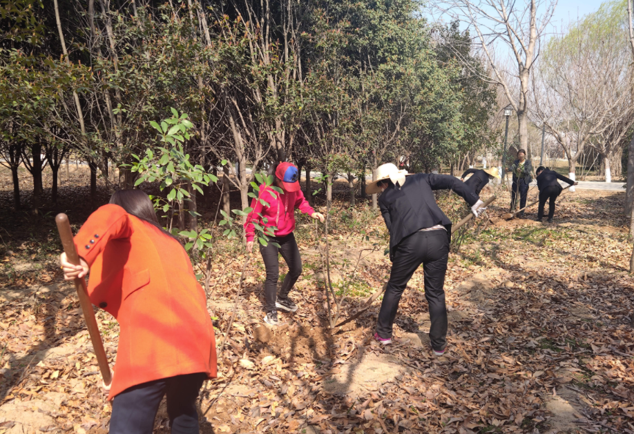 地建研究院组织开展植树护绿运动 -  尊龙凯时