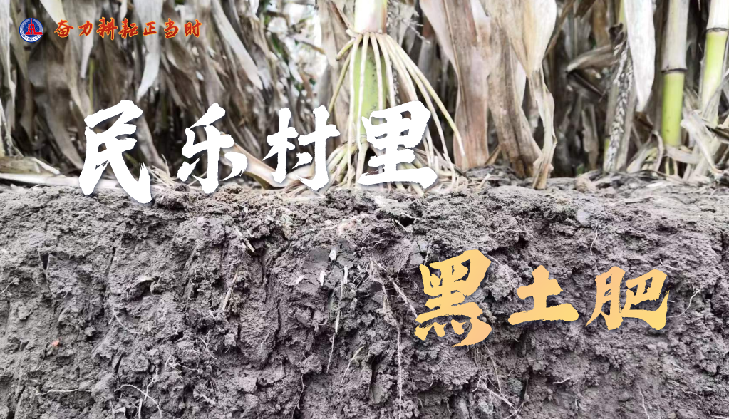 习近平总书记关切事|奋力耕作正其时——农业强国建设一线的四个故事 -  尊龙凯时