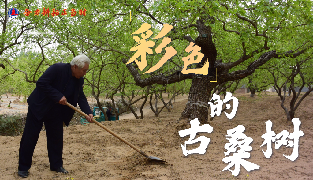 习近平总书记关切事|奋力耕作正其时——农业强国建设一线的四个故事 -  尊龙凯时