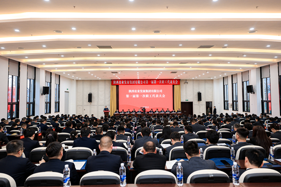 尊龙凯时人生就是搏(中国区)官方网站