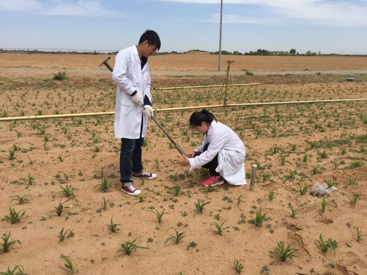 尊龙凯时人生就是搏(中国区)官方网站