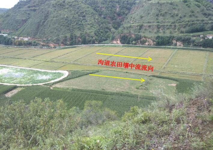 尊龙凯时人生就是搏(中国区)官方网站