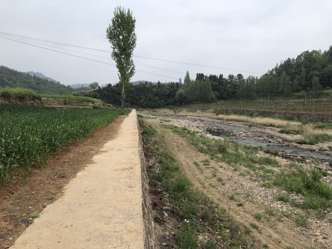 藏粮于地 藏粮于技 尊龙凯时
