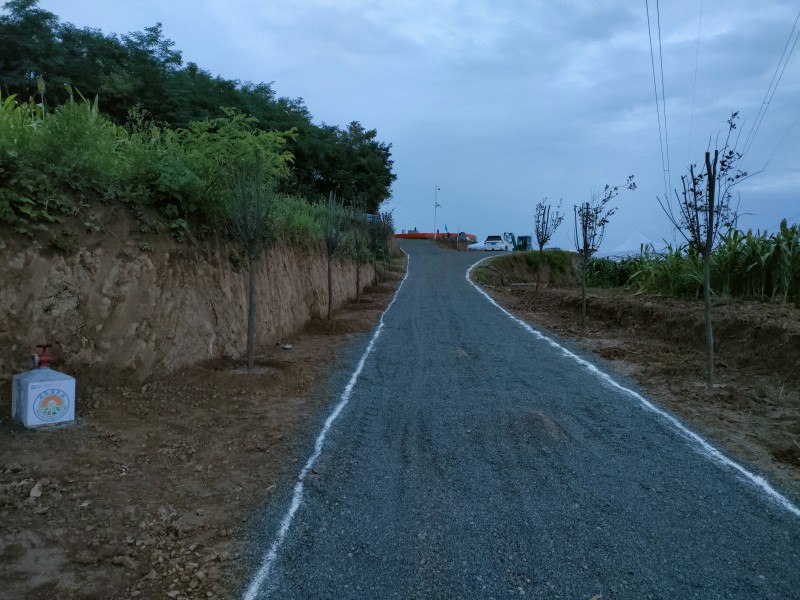藏粮于地 藏粮于技 尊龙凯时