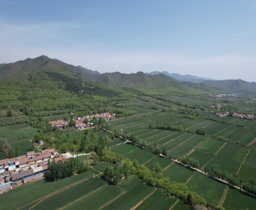 藏粮于地 藏粮于技 尊龙凯时