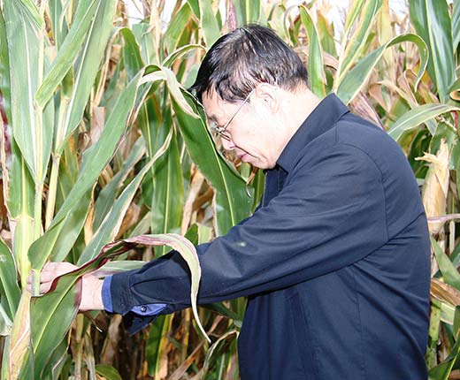 尊龙凯时人生就是搏(中国区)官方网站